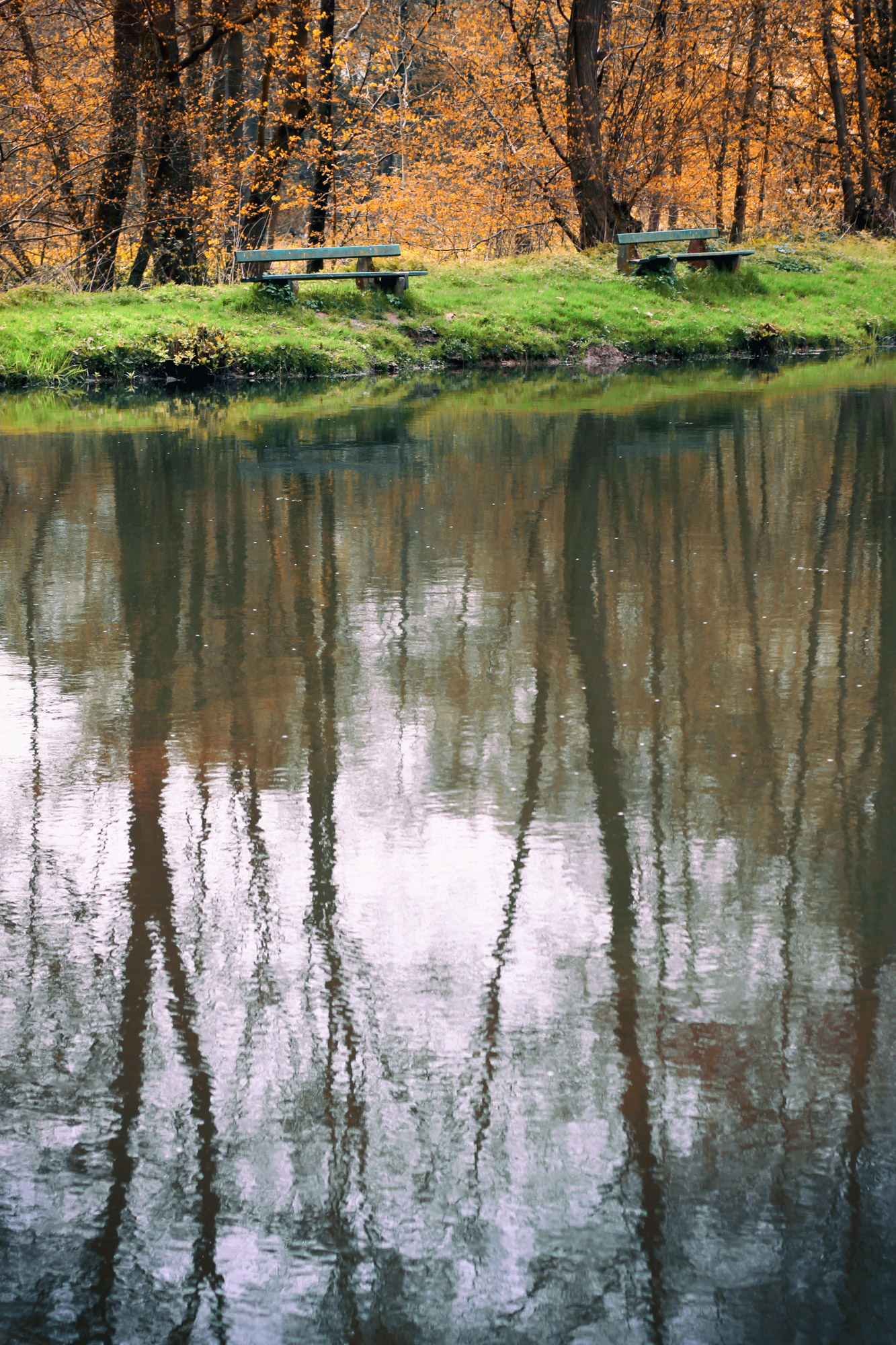 Parkbänke See Herbst